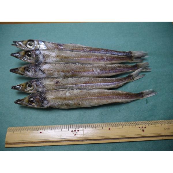 めぎす にぎす 沖ギス 干物 脂 旨味濃厚 北陸産 居酒屋メニュー メギス 一夜干し 大 5尾 Buyee Buyee Japanese Proxy Service Buy From Japan Bot Online