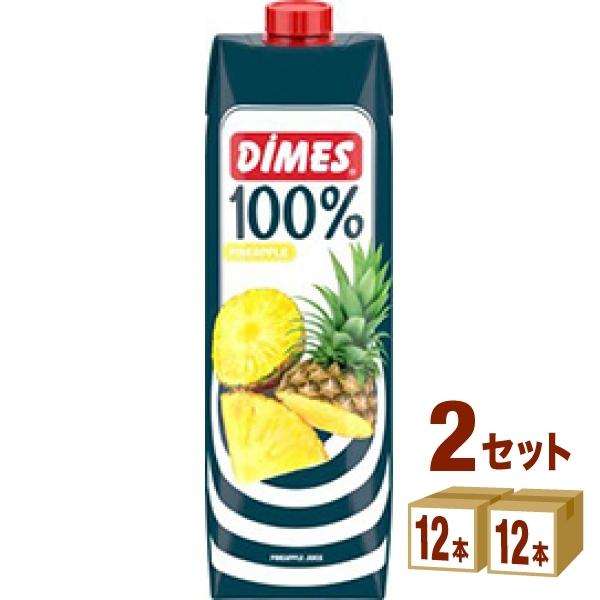 DIMES ディメス 100％ パインアップルジュース パイナップル 1000ml 2ケース (24本)