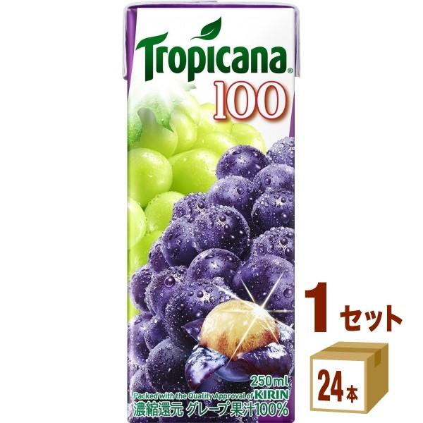 gsJ[i O[v X pbN250mli24{j