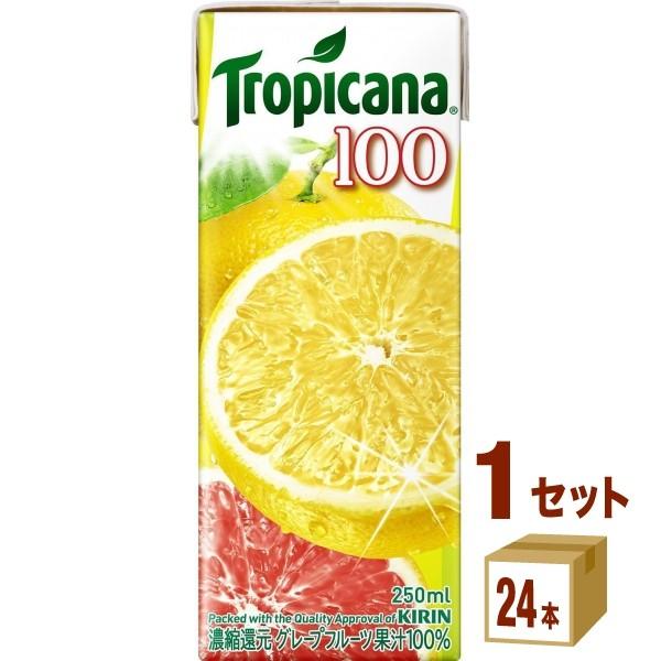 L gsJ[i O[vt[c pbN250ml 1P[X (24{)