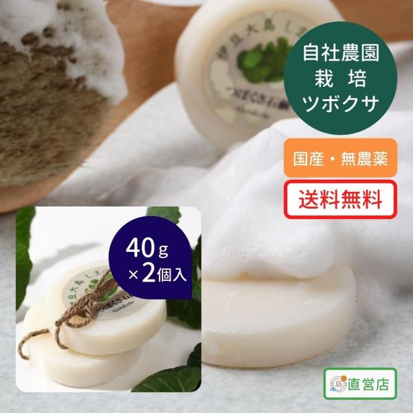 YڂΌ 80gi40g×2j CICA VJ VJGLX Ό ɓ哇E^_