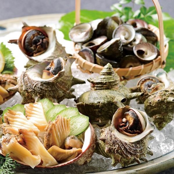 75 サザエ 子供 貝 かわいい子供たちの画像