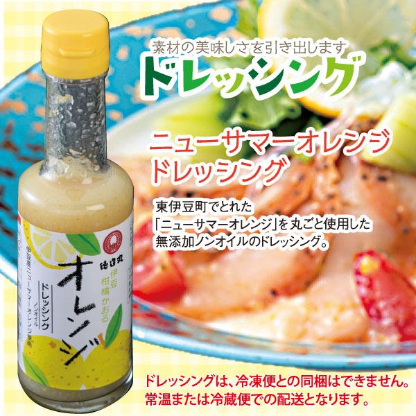 ニューサマーオレンジドレッシング 200ml 伊豆 特産品 ポイント消化
