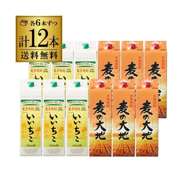 送料無料 麦焼酎飲み比べ 12本セット 麦の大地6本 いいちこ6本 パック