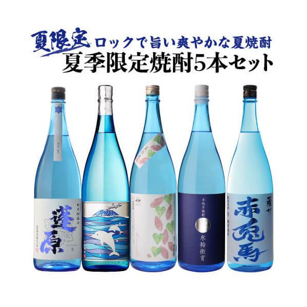 焼酎セット 夏季限定焼酎5本セット 芋焼酎 1800ml 5本 氷輪徹宵 いるか