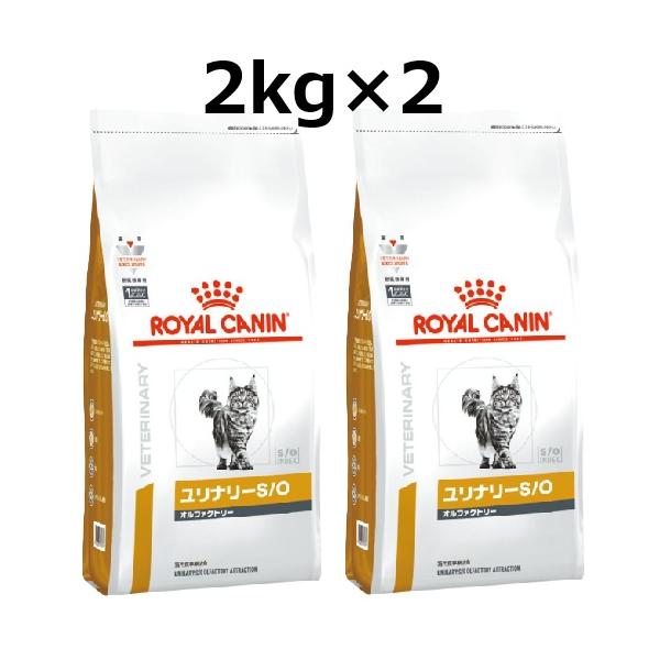 ロイヤルカナン 猫 ユリナリー S/O オルファクトリー ドライ 2kg 2袋