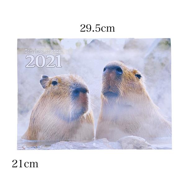 伊豆シャボテン本舗 カピバラカレンダー マスキングテープ セット 21年 カレンダー 注文殺到 オリジナル Buyee Buyee 日本の通販商品 オークションの代理入札 代理購入
