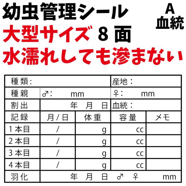 幼虫管理に必要な情報が書き込めるプロっぽい気分になれるラベルです。こちらはAタイプのラベルで、「血統」が記入できるラベルです。その他に「菌糸」「マット」の記入ができるタイプもあります。餌交換等の際の水垂れで印刷が滲んでしまうと言う声から開発...