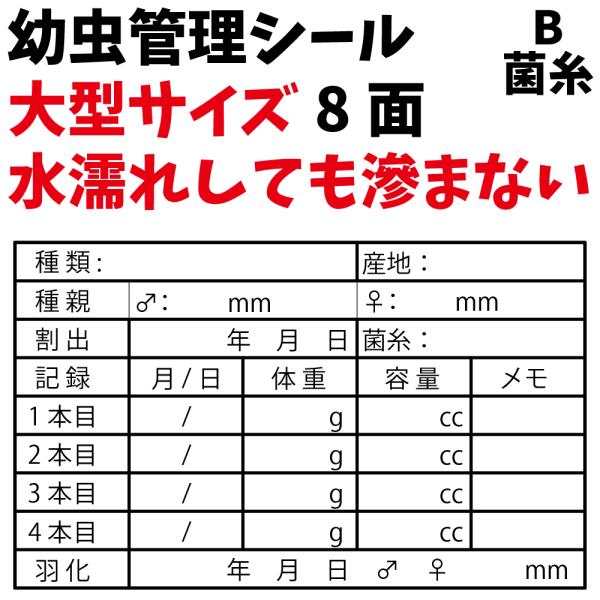 幼虫管理に必要な情報が書き込めるプロっぽい気分になれるラベルです。こちらはBタイプのラベルで、「菌糸」が記入できるラベルです。その他に「血統」「マット」の記入ができるタイプもあります。餌交換等の際の水垂れで印刷が滲んでしまうと言う声から開発...