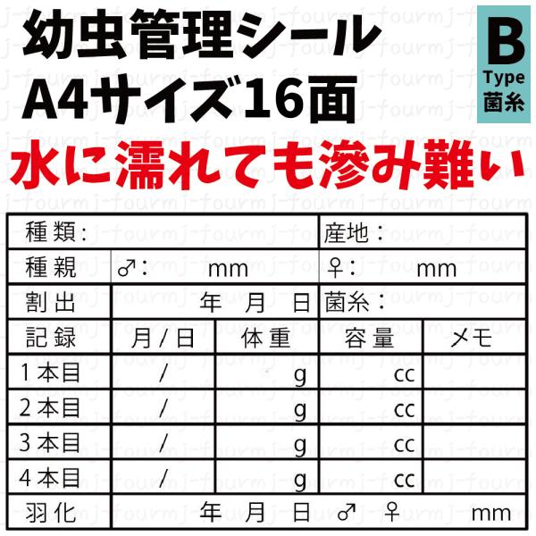 幼虫管理に必要な情報が書き込めるプロっぽい気分になれるラベルです。こちらはAタイプのラベルで、「血統」が記入できるラベルです。その他に「菌糸」「マット」の記入ができるタイプもあります。餌交換等の際の水垂れで印刷が滲んでしまうと言う声から開発...