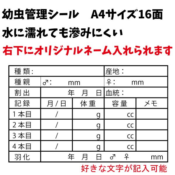幼虫管理に必要な情報が書き込めるプロっぽい気分になれるラベルです。こちらはタイプのオリジナルのショップ名、メッセージが印刷できるラベルです。種類は「血統」「菌糸」「マット」からお選びください。餌交換等の際の水垂れで印刷が滲んでしまうと言う声...