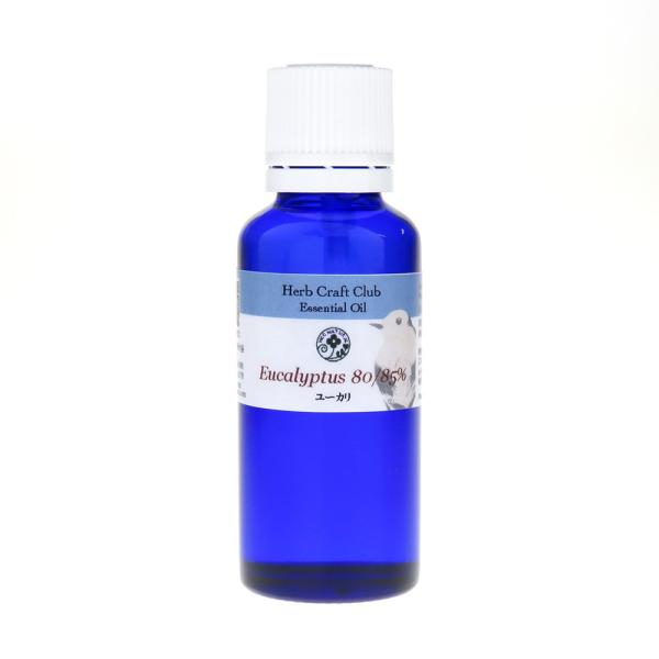 A}IC [J 30ml vp  GbZVIC }bT[W   r̐X@