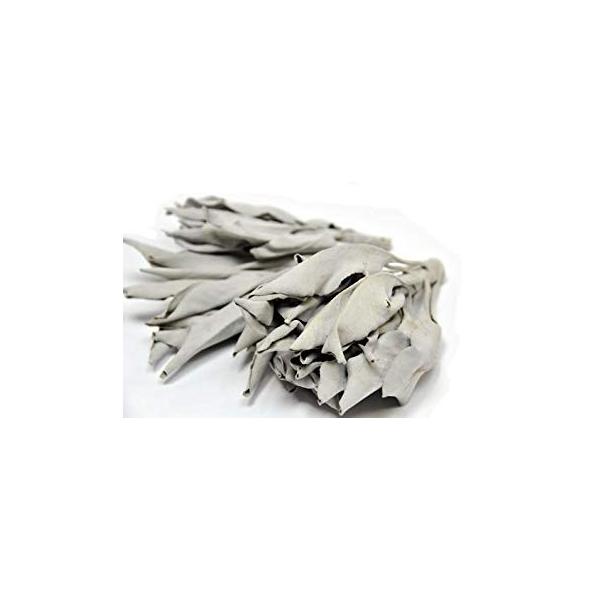 n[uH[HCC zCgZ[W1kg@vp@򉻏㎿NX^[it{}tj@JtHjAY