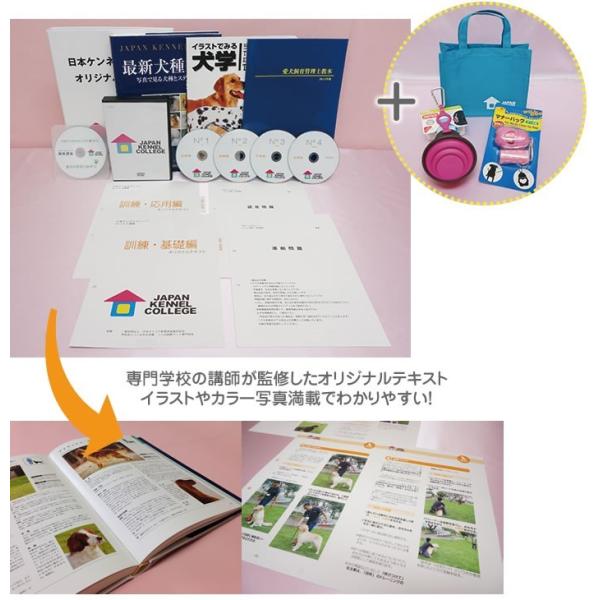 通信 資格 ドッグトレーナー養成専門講座 M T ペット資格日本ケンネルカレッジ 通販 Yahoo ショッピング