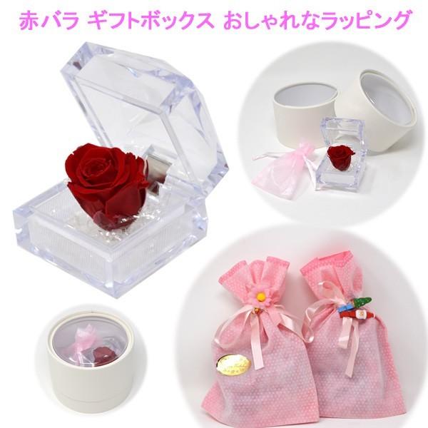 ԃo Mtg{bNX ȃbsO LbsOT[rX lbNX sAX y_g a  WG[ ANZT[  v[g NX}X