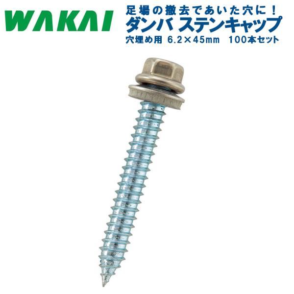 ダンバ ステンキャップ 穴埋め用 100本/箱 6.2×45mm 6945ACZ 5mm径ステンキャップ 対辺8.0mm 若井産業