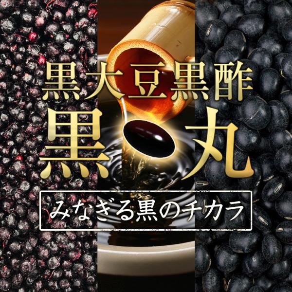 め*も様 NO-Count 　国産麹＆酵母 3袋セット ダイエットサプリ 正規品 ノーカウント 国産麹＆酵母 ダイエット サプリメント 3袋