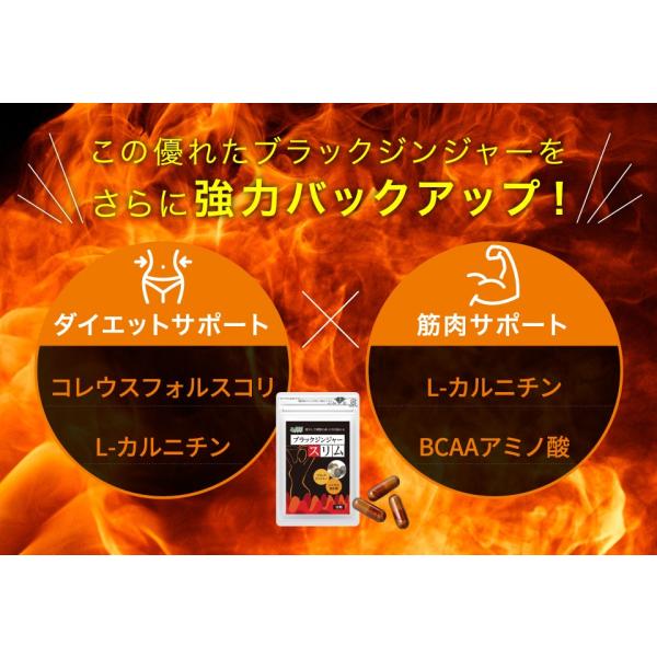 ダイエット サプリ ブラックジンジャー 90粒 約30日分 脂肪 燃焼系 サプリメント 151424ジェイ