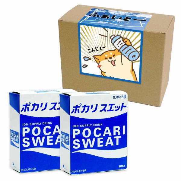 ポカリスエット ポカリ 粉末 水分補給 イオン 電解質 スポーツ