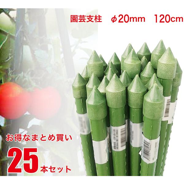 園芸支柱 径mm 長さ1cm 25本 セット まとめ買い 業務用 鋼管竹 イボ竹 農業 資材 花 野菜 畑 庭 ガーデニング 家庭菜園 Csp 1 Set Csp 1 Set ジェイスタイルデポyahoo 店 通販 Yahoo ショッピング