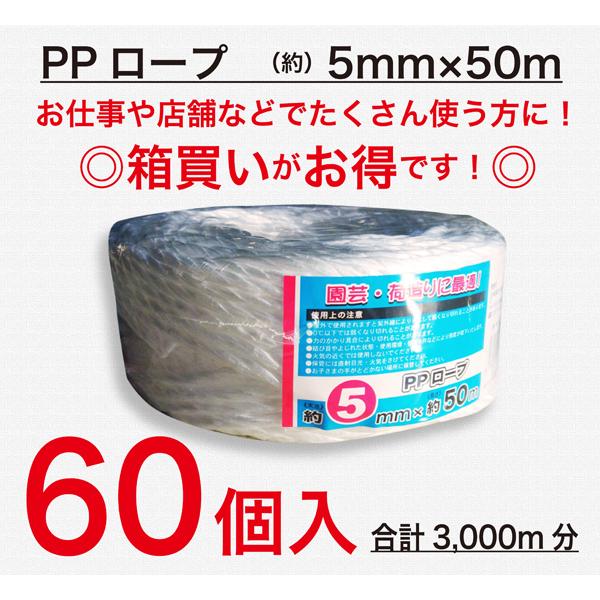 Ppロープ 5mmx50m 60個 まとめ買い 業務用 荷造り紐 紐 引越し ビニール紐 新聞 雑誌 園芸 ガーデニング ビニールひも ロープ Jcm 550 60set Jcm 550 60set ジェイスタイルデポyahoo 店 通販 Yahoo ショッピング