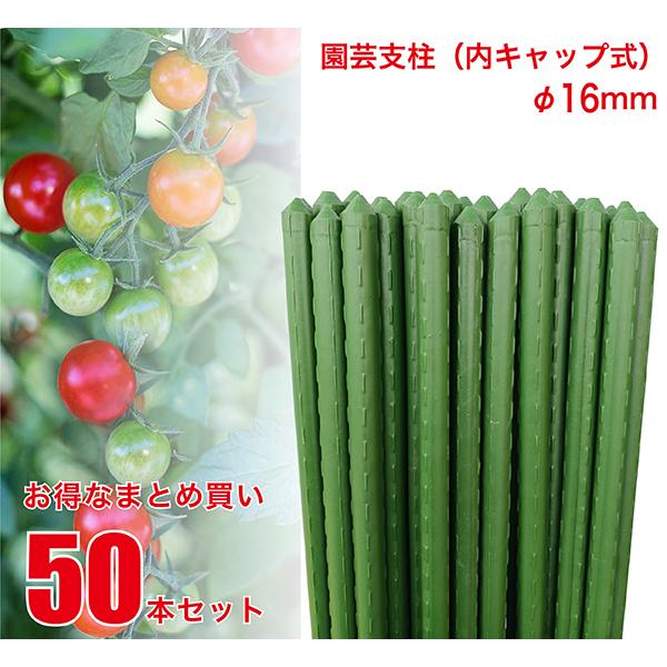園芸支柱 内キャップ式 16mm×長さ180cm 50本 セット (配送地域限定商品