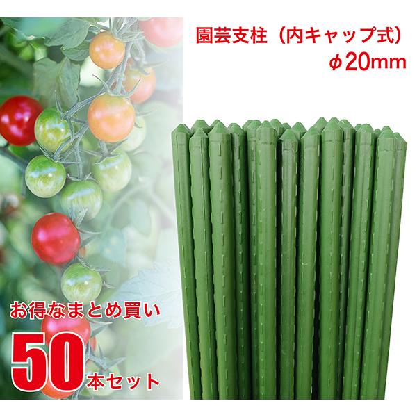 シャー　20ミリ　120センチ 園芸支柱 内キャップ式 20mm×長さ120cm 50本 セット (まとめ買い) 鋼管