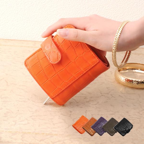 }bg NR_C RpNg ܂z { / fB[X(No.06000890)