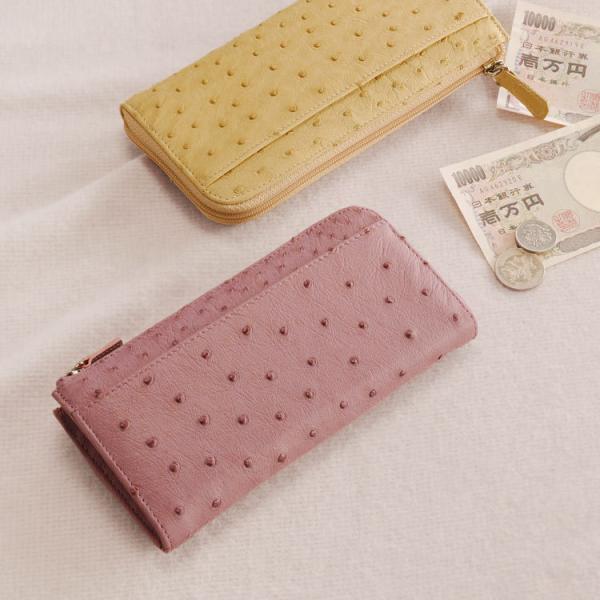 I[Xgb` z Lt@Xi[ mlR|Xőn / fB[X ^