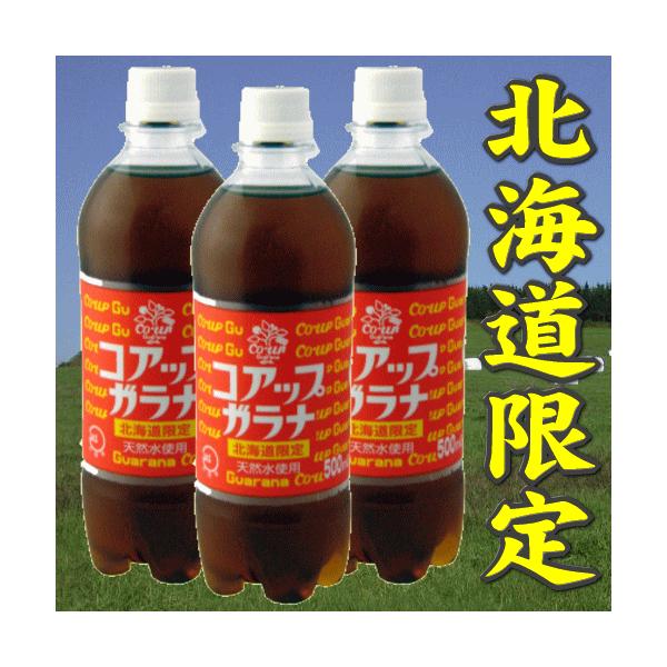 他サイト： 北海道限定 コアップガラナ 500ml×24本の商品画像