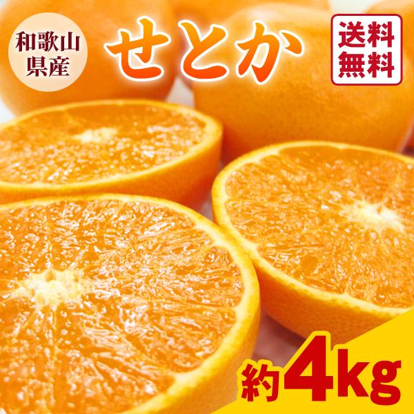 みかん せとか 約4kg 18〜28玉入 1箱 送料無料 〜柑橘の大トロ 木熟
