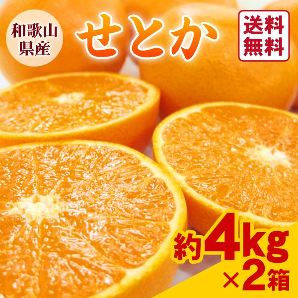 JA紀南 みかん せとか 約4kg 18〜28玉入 2箱 送料無料 〜柑橘の大トロ  
