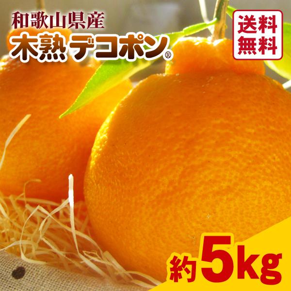 JA紀南 みかん 木熟 デコポン 約5kg 18〜20玉入り 1箱 秀品 送料無料