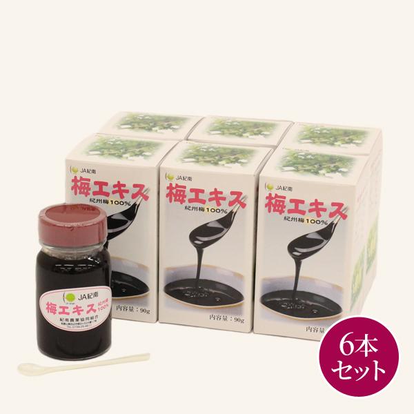 送料無料 紀州産青梅使用 梅エキス　90g×6本入 　梅肉エキス　大容量