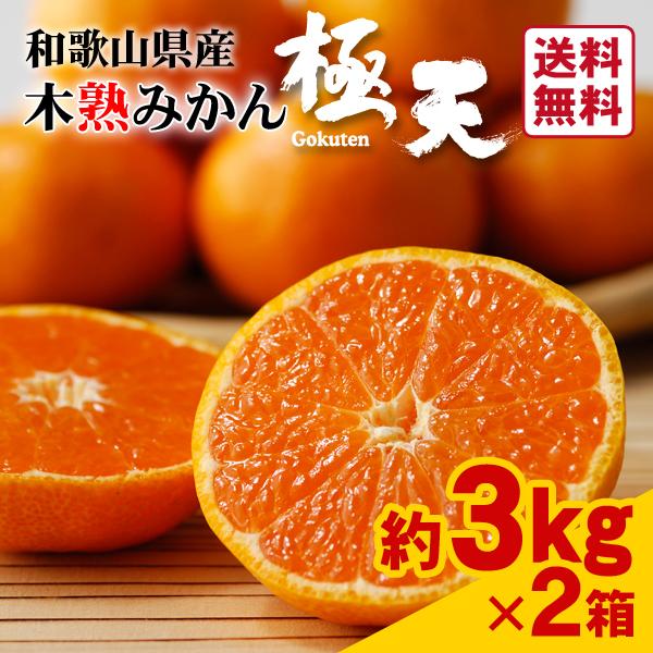 みかん様 JA紀南 みかん 木熟みかん「極天」 小玉サイズ 3kg×2箱 送料無料