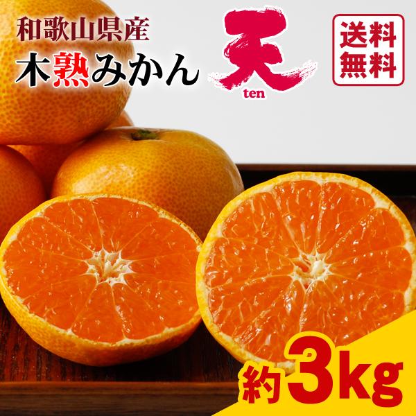 JA紀南 みかん 木熟みかん「天」 S〜Mサイズ 3kg×1箱 送料無料 お歳暮