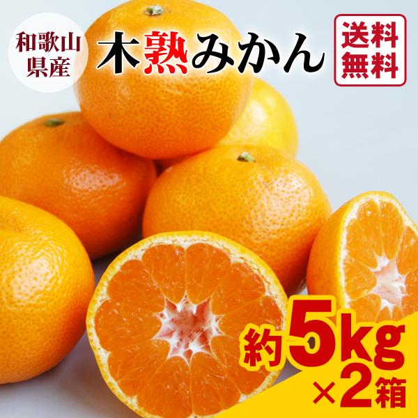 1箱のみ‼️少し早い木熟南高梅　大玉4L3Lサイズ　5kg みかんキング JA紀南 みかん 木熟みかん S〜Mサイズ 5kg×2箱 送料無料 お歳暮にも