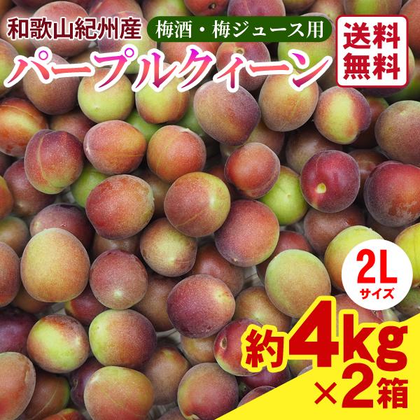 梅酒　梅シロップ2種類セット‼️紫小梅2kg 南高梅2kg みかんキング JA紀南 送料無料 梅酒用・梅ジュース用 パープルクィーン 2L
