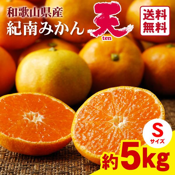 送料無料 旨味極撰 紀南みかん「天」Sサイズ 5kg×1箱 〜ブランド早生