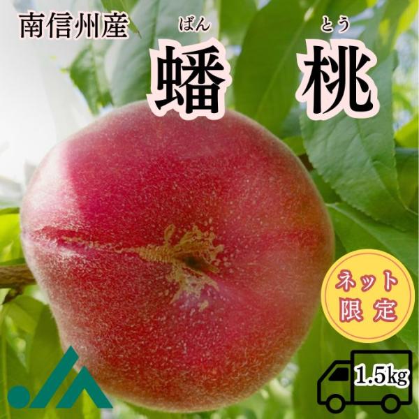 桃 蟠桃 ばんとう 約1.5kg(5〜12玉) Y131 (冷蔵)※８月上旬〜発送予定 送料無料 季節の果物  旬の果物 旬のフルーツ 果物 フルーツ もも モモ 高級