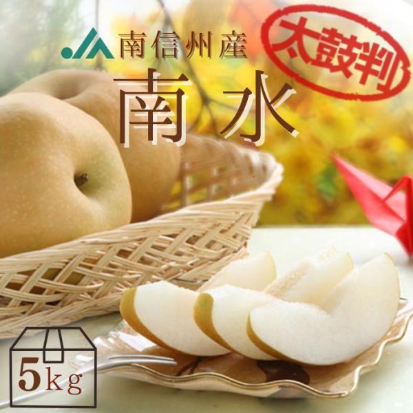 梨 南水 【 太鼓判 】 約 5kg (10〜14玉) Y203 ※9月中旬〜発送予定 送料無料 なし ナシ フルーツ くだもの 果物 高級 美味しい