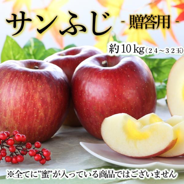 りんご サンふじ【贈答用】約10kg(24〜32玉) Y335 ※11月下旬〜発送予定