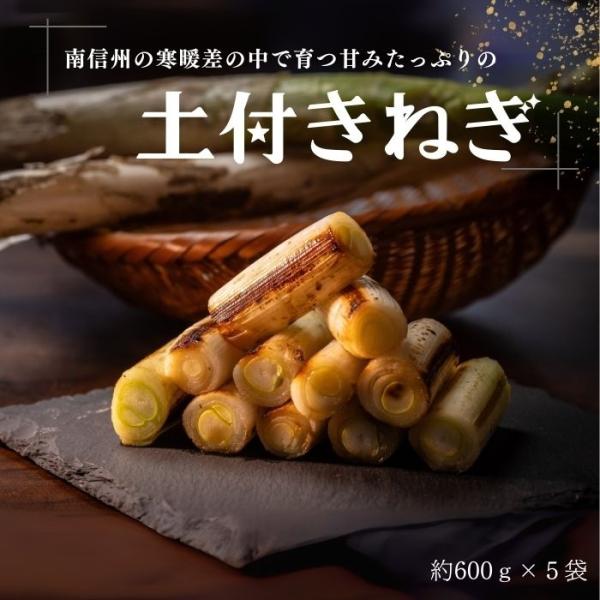・商品名土付きねぎ・産地長野県　南信州産・内容量約3kg（約600g×5袋）※入り本数指定不可・発送時期1月中旬〜予定※お届け日の指定不可※天候により前後する場合があります・保存方法涼しい場所で保管し、なるべくお早めにお召し上がりください。