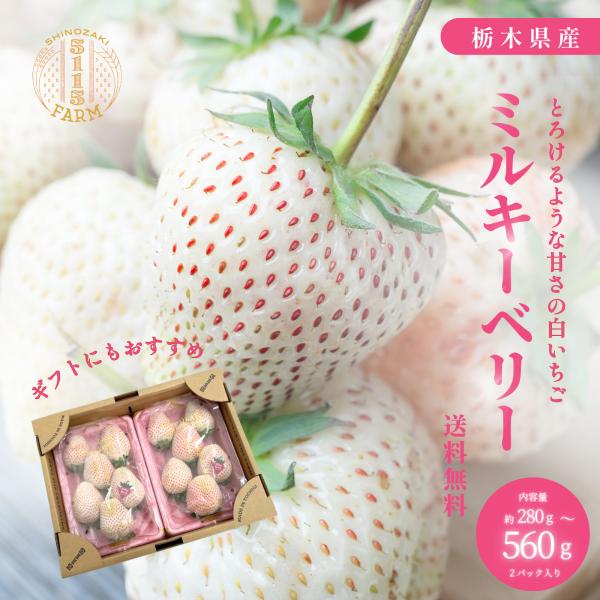 商品仕様シリーズ名 苺ブランド名 5115FARM（ＪＡ佐野苺部会）原産国／製造国 日本総重量 560gいちごの品種 ミルキーベリー