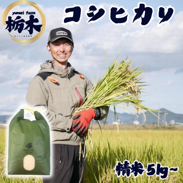 ＪＡ佐野 令和7年産 新米 コシヒカリ 栃木県産 訳あり 米 こめ rice 精米 当日精米 5kg 5キロ YUMERIFARM 関口農園