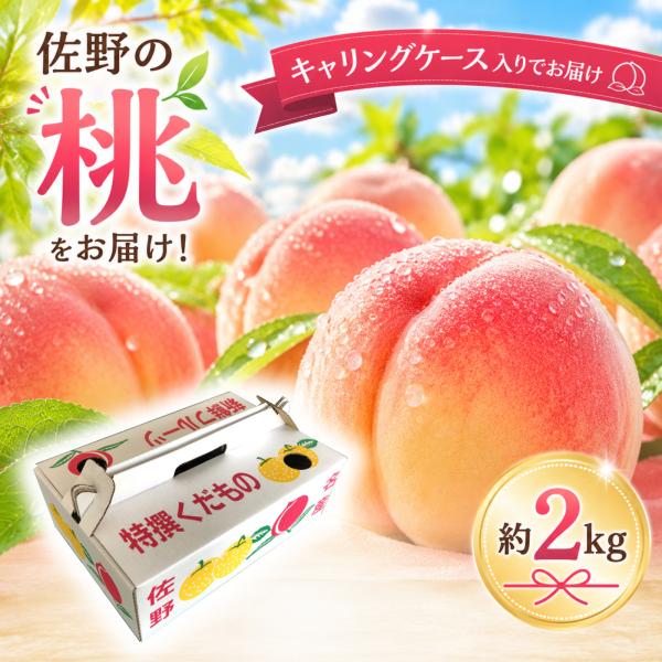 キャリングケース付きギフト 6〜7玉前後 栃木県産 桃 約2kg ＪＡ佐野 ちょっとしたご褒美 贈物に キャリング化粧箱付き フルーツライン お彼岸 【小林果樹園】