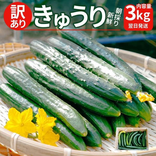 シリーズ名 訳あり規格キュウリ３ｋｇブランド名 ＪＡ佐野キュウリ部会員　岡田光雄原産国／製造国 日本総個数 1総重量 3kg産地（都道府県） 栃木食品配送状態 常温販売形態（訳あり） 訳あり賞味期限 到着から1週間以内製造者 ＪＡ佐野キュウ...
