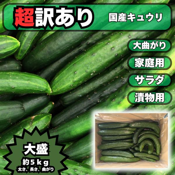 商品説明名称：キュウリ産地名：国産（１００％栃木県佐野市産）内容量：ＪＡ佐野出荷規格「Ｄ」サイズ５ｋｇ入曲がりが多い訳アリ品ですが、味はＡ品（秀）と何の変りもありません保存方法 冷蔵庫にて保存（直射日光は避けてください）商品到着後はお早めに...