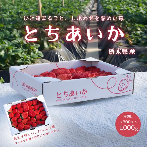 シリーズ名 苺ブランド名 三井啓一（ＪＡ佐野苺部会）原産国／製造国 日本総重量 900gいちごの品種 とちあいか産地（都道府県） 栃木消費期限 到着日から５日以内が推奨です賞味期限 到着日から５日以内が推奨です製造者 三井啓一（ＪＡ佐野苺部...