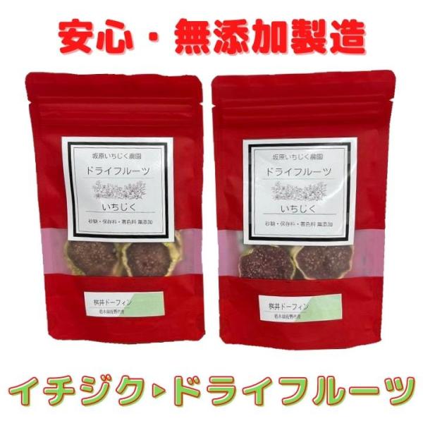 【送料無料】ドライイチジク 桝井ドーフィン 国産 砂糖・着色料・保存料不使用 坂原農園